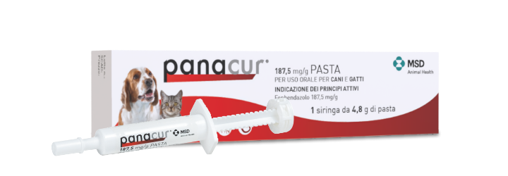 Panacur Pasta è adatto a gatti