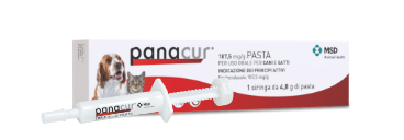 Panacur Pasta