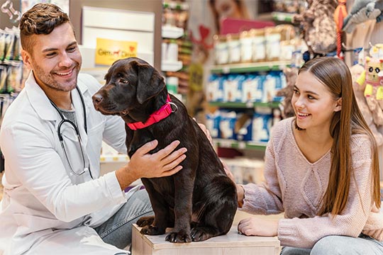 Trova un veterinario vicino a te